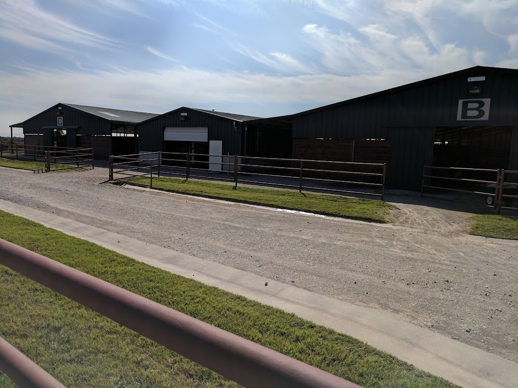 Equine Sports Medicine & Surgery | 2991 Interstate 20 Frontage Rd, Weatherford, TX 76087, USA | Phone: (817) 596-2829