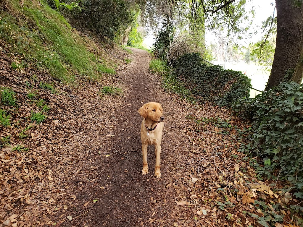 South Pawsadena Dog Park | 650 Stoney Dr, South Pasadena, CA 91030, USA | Phone: (626) 403-7380