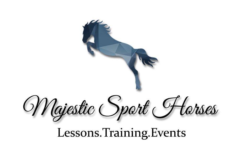 Majestic Sport Horses | 5948 S Sandario Rd, Tucson, AZ 85735, USA | Phone: (530) 515-3026