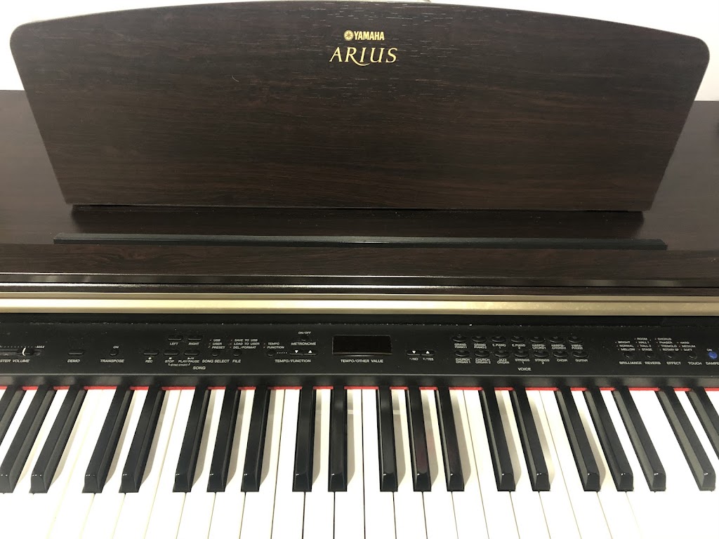 Halley Pearlstein Voice & Piano Studio | 73 Fairview Ave, High Bridge, NJ 08829, USA | Phone: (908) 217-5392