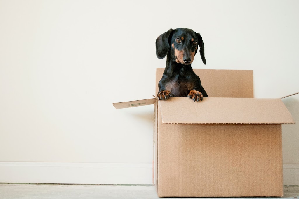 Sacramento Movers | 5800 Shadowbrook Way, Fair Oaks, CA 95628, USA | Phone: (916) 285-5475