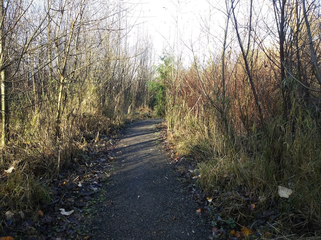 Silver Creek Riparian Zone | 1043 12th Ave SW, Puyallup, WA 98371, USA | Phone: (253) 841-4321