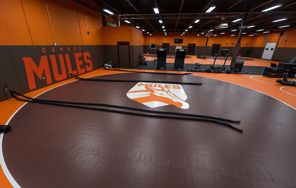 Mule Fitness | 260 Forest Ave, Amsterdam, NY 12010, USA | Phone: (518) 467-6588