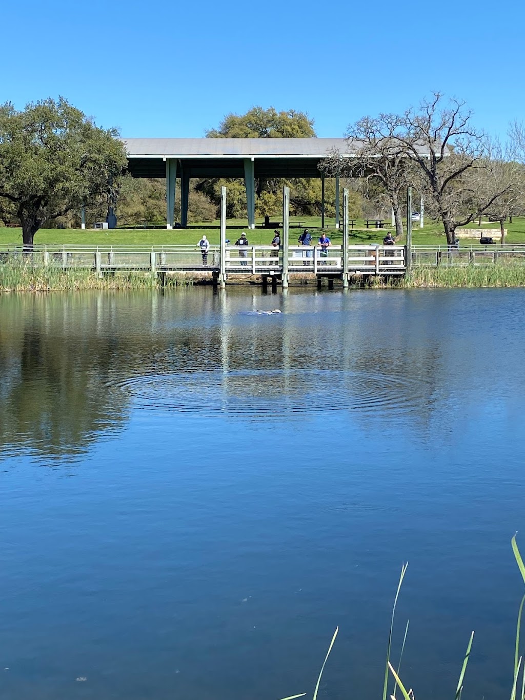 East Metropolitan Park | 18706 Blake Manor Rd, Manor, TX 78653, USA | Phone: (512) 854-7275