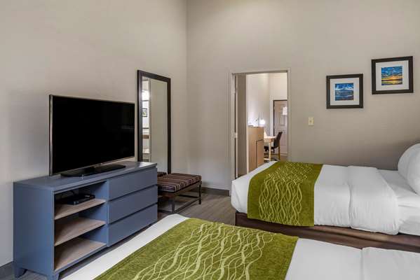 Comfort Inn & Suites Cartersville - Emerson Lake Point | 43 GA-20 Spur, Cartersville, GA 30121, USA | Phone: (770) 386-5888