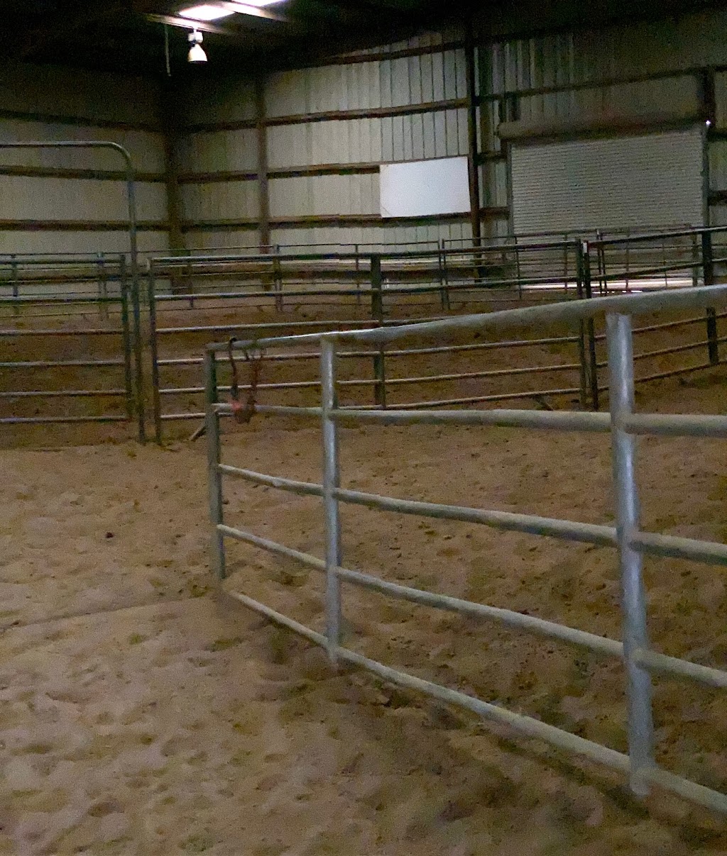 McCallum Quarter Horses | 13894 Galloway Rd, Caldwell, ID 83607, USA | Phone: (208) 870-0519