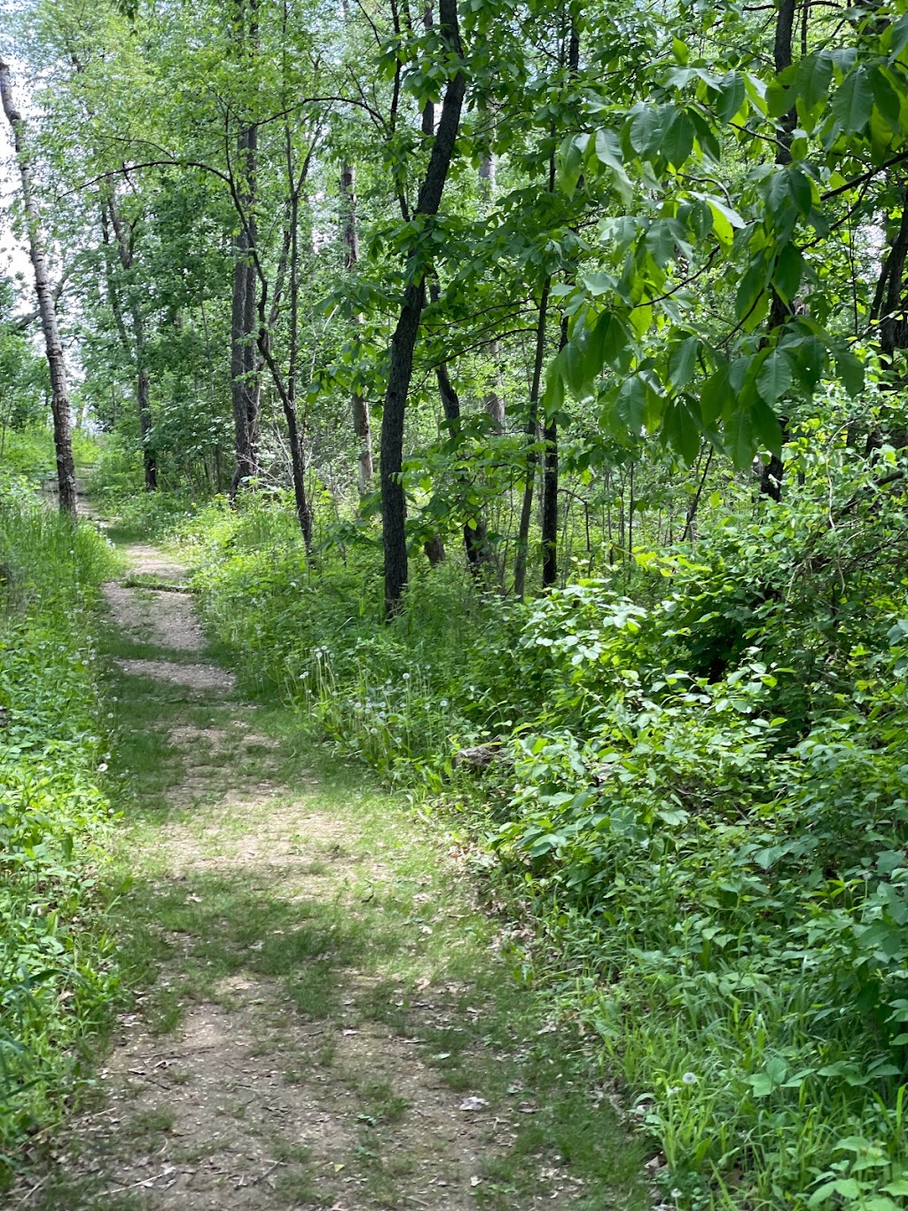 Cherokee Marsh Conservation Park - North | 6098 N Sherman Ave, Madison, WI 53704, USA | Phone: (608) 266-4711