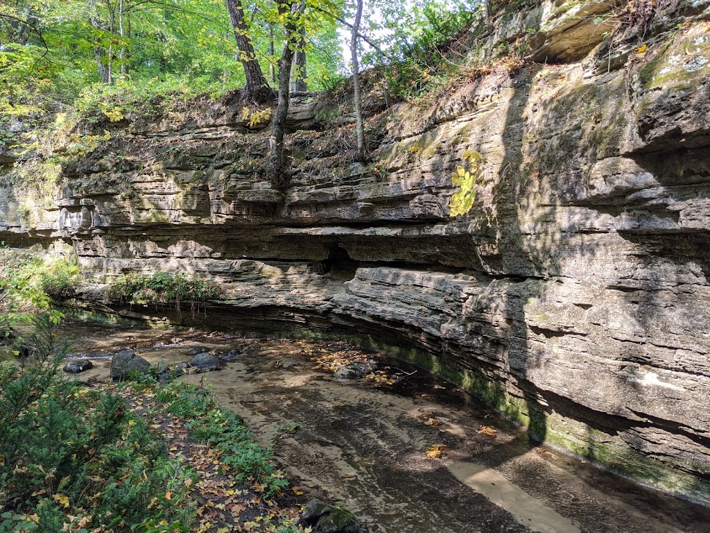 Standing Cedars State Natural Area | 728 Prospect Ave, Osceola, WI 54020, USA | Phone: (888) 936-7463