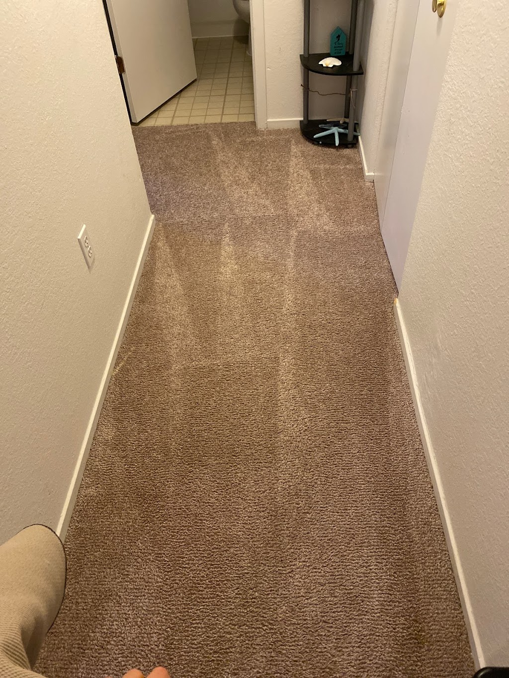 EVER/READY Carpet Cleaning | 267 E Hamlin Rd, Rochester Hills, MI 48307, USA | Phone: (248) 587-7331