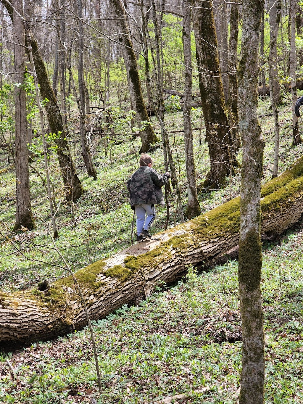 Caesar Creek Gorge State Nature Preserve | 4080 Corwin Rd, Oregonia, OH 45054, USA | Phone: (614) 265-6561