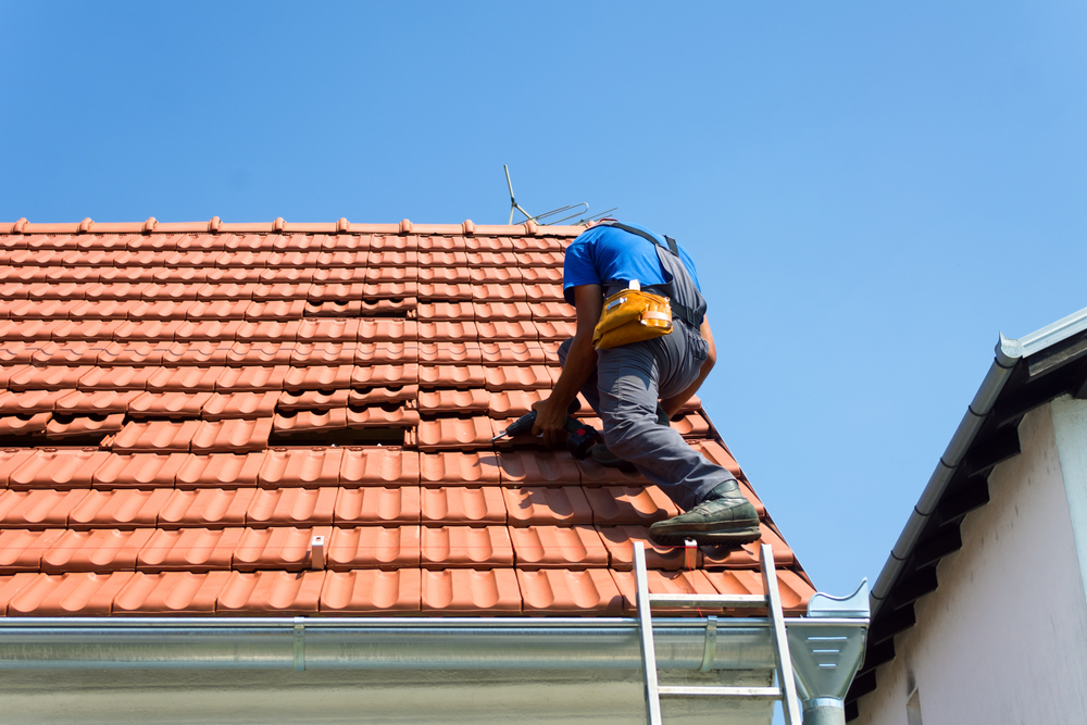 Eden Roof Repair Westchester | 164 Nelson Rd, Scarsdale, NY 10583, USA | Phone: (914) 566-8077