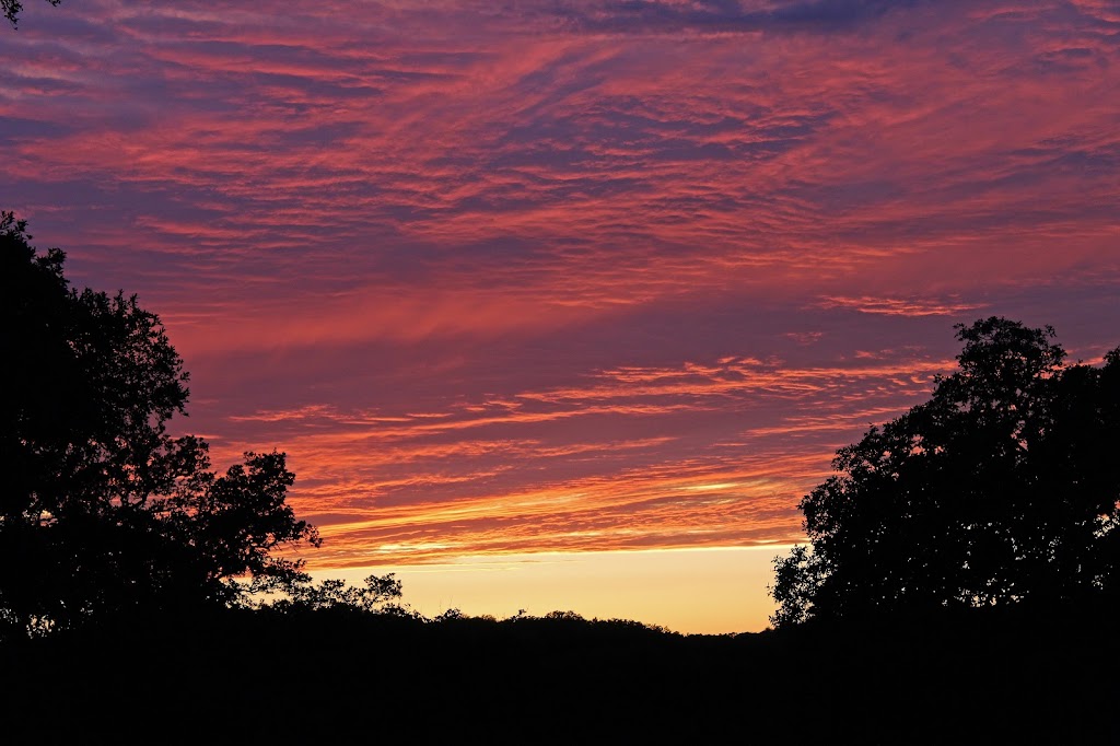 Prowd House Bed & Breakfast | 304 Rocky Springs Rd, Wimberley, TX 78676, USA | Phone: (512) 847-1900