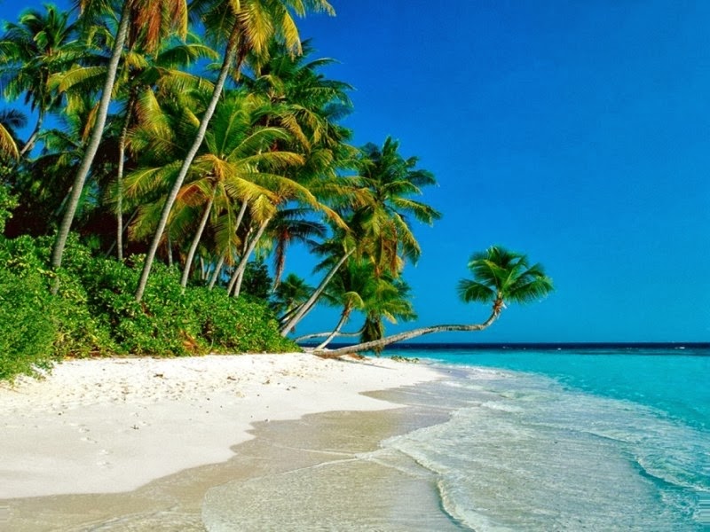 Coastal Spine and Rehab Center | 13910 Fivay Rd #10, Hudson, FL 34667, USA | Phone: (727) 862-3509