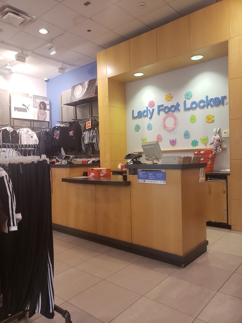 Lady Foot Locker | 1 Walden Galleria Space D206, Buffalo, NY 14225, USA | Phone: (716) 681-0914