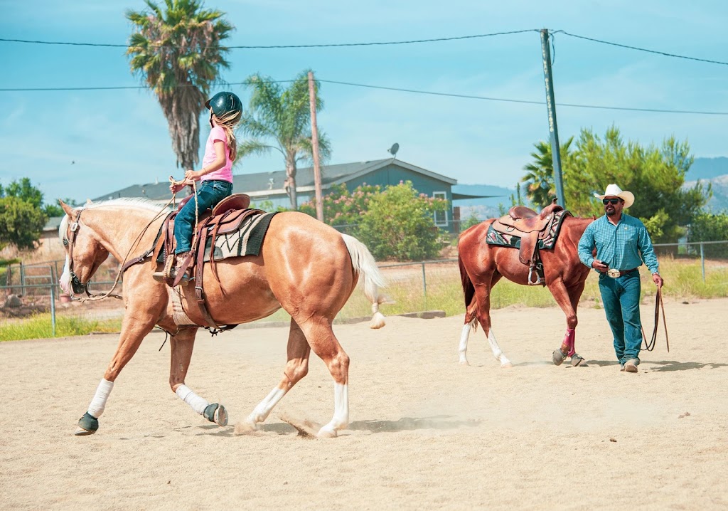 LT Quarter Horses | 21650 Juniper Rd, Perris, CA 92570, USA | Phone: (323) 770-1428