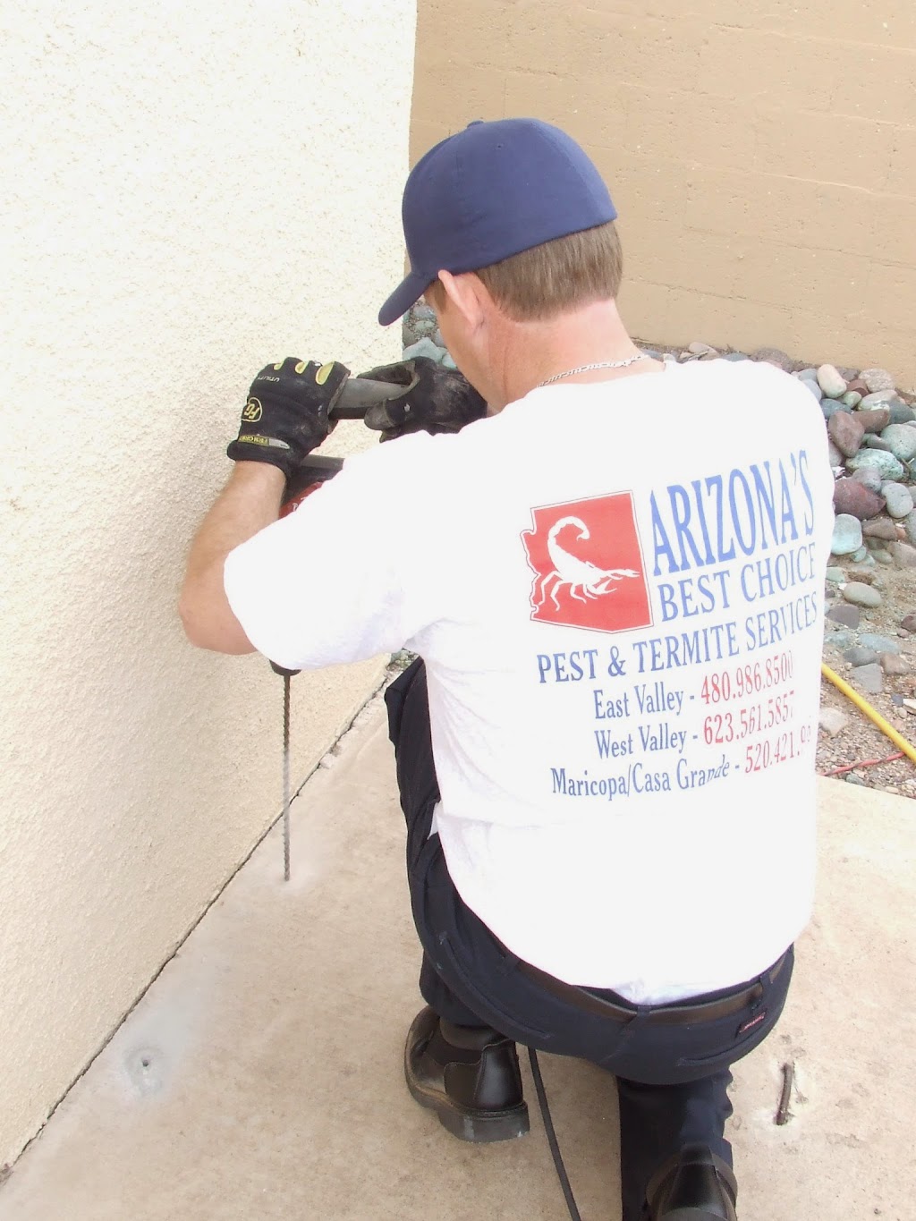 Arizonas Best Choice Pest & Termite Services | 8227 E Main St, Mesa, AZ 85207, USA | Phone: (480) 986-8500