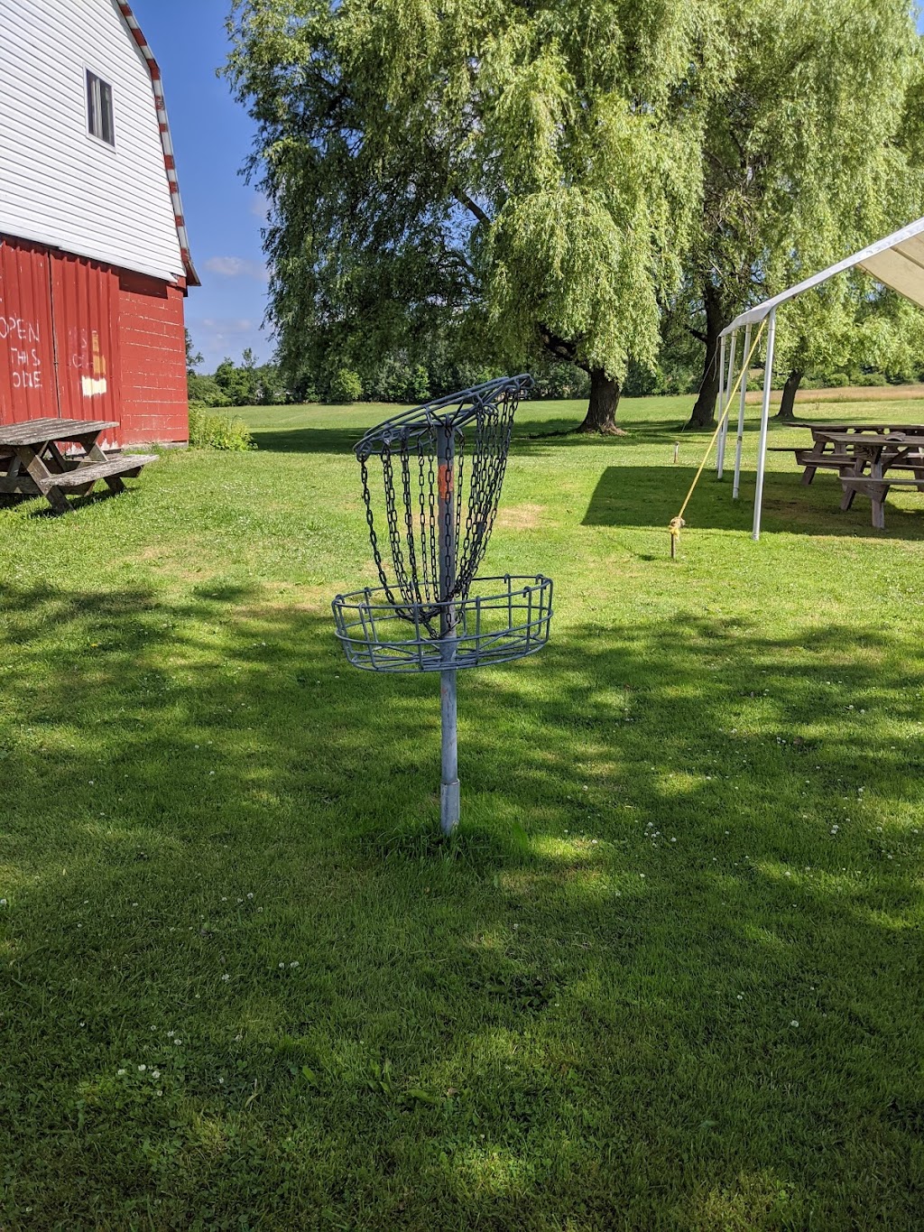 Chainbiters Disc Golf Course | 8744 S Dayton Silver Creek Rd, South Dayton, NY 14138, USA | Phone: (716) 720-0378