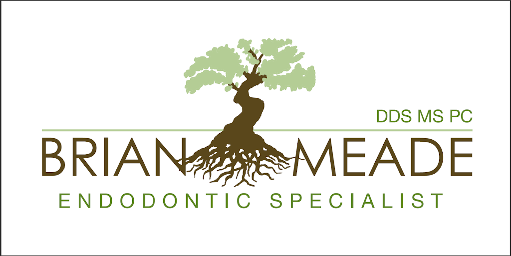 Brian M. Meade, DDS MS: Endodontic Specialist | 2780 Packard St, Ypsilanti, MI 48197, USA | Phone: (734) 340-2450