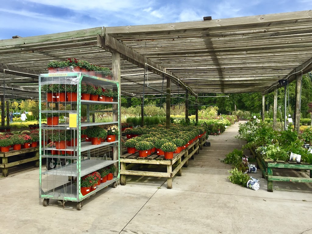 Joe Randazzo's Fruit and Vegetable Market Inc. in 6701 N Newburgh Rd