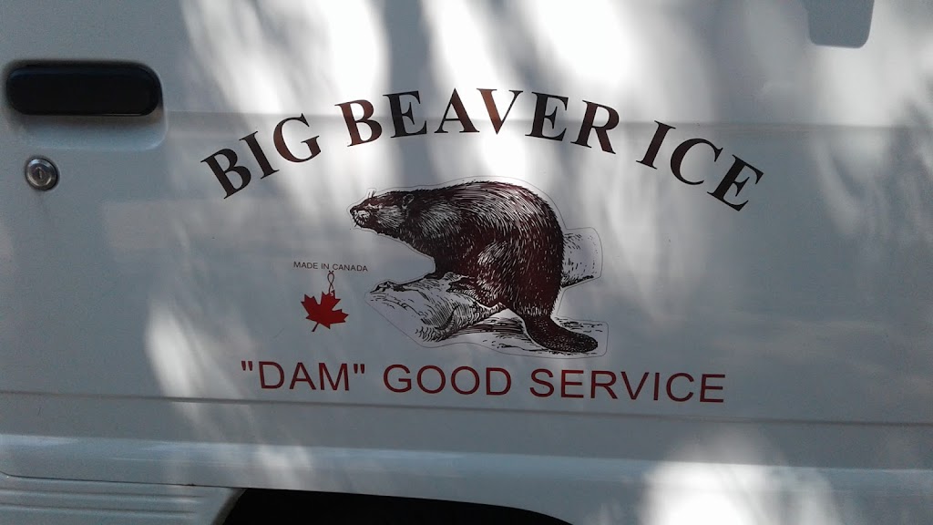 Big Beaver Ice & Coffee Co. | 5225 Burke St, Windsor, ON N9G 0B9, Canada | Phone: (519) 257-0047