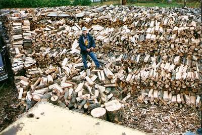 Arrow Tree & Stump Removal | 389 Devonshire Rd, Ypsilanti, MI 48198, USA | Phone: (734) 662-2655