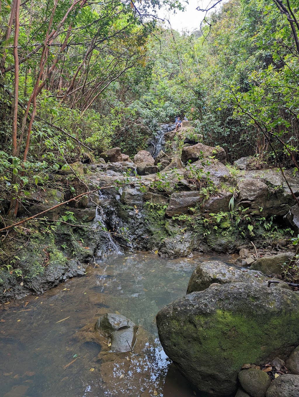 Lāʻie Falls Trail | 55-261 Poohaili St, Laie, HI 96762, USA | Phone: (808) 293-9201