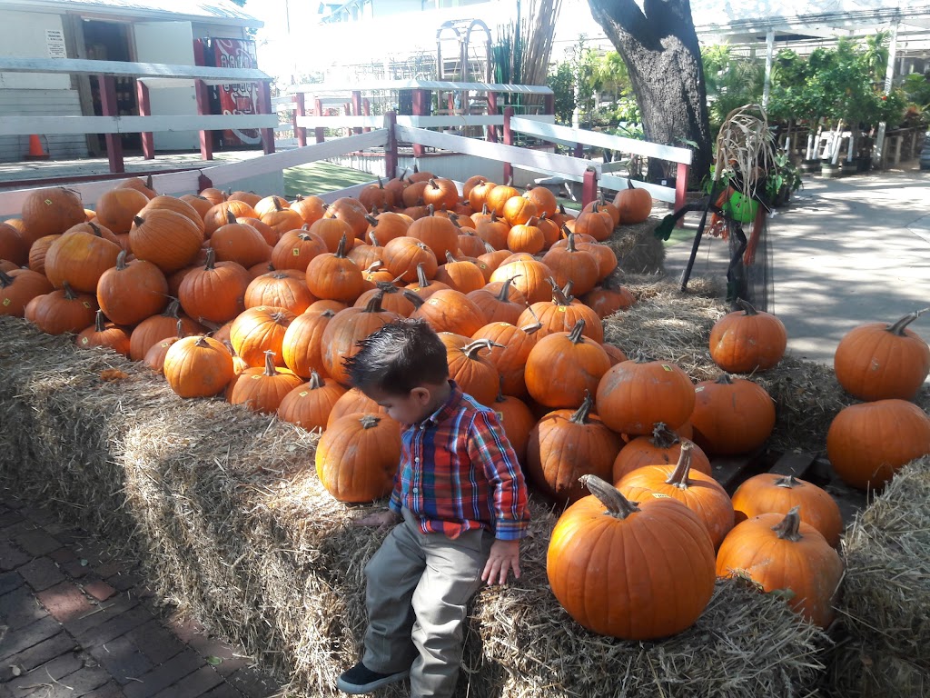 Red Barn Garden Center | 690 A N Bagdad Rd, Leander, TX 78641, USA | Phone: (512) 335-8093