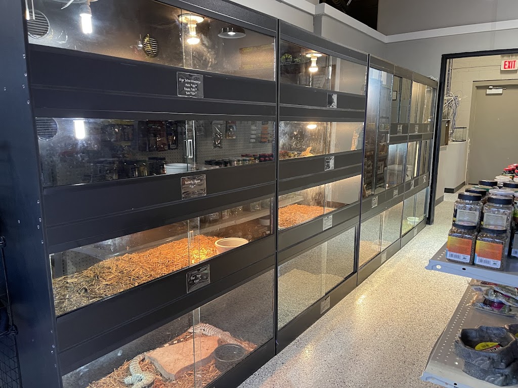 Desert Grown Reptiles & Exotics | 49237 W Papago Rd #3, Maricopa, AZ 85139 | Phone: (520) 568-7524