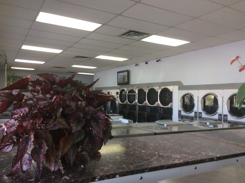 Wash N Time Laundromat | 58872 Van Dyke Ave, Washington, MI 48094, USA | Phone: (586) 940-5294