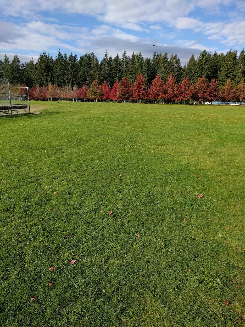 McCollum Park Athletic Field | 600 128th St SE, Everett, WA 98208 | Phone: (425) 388-6600