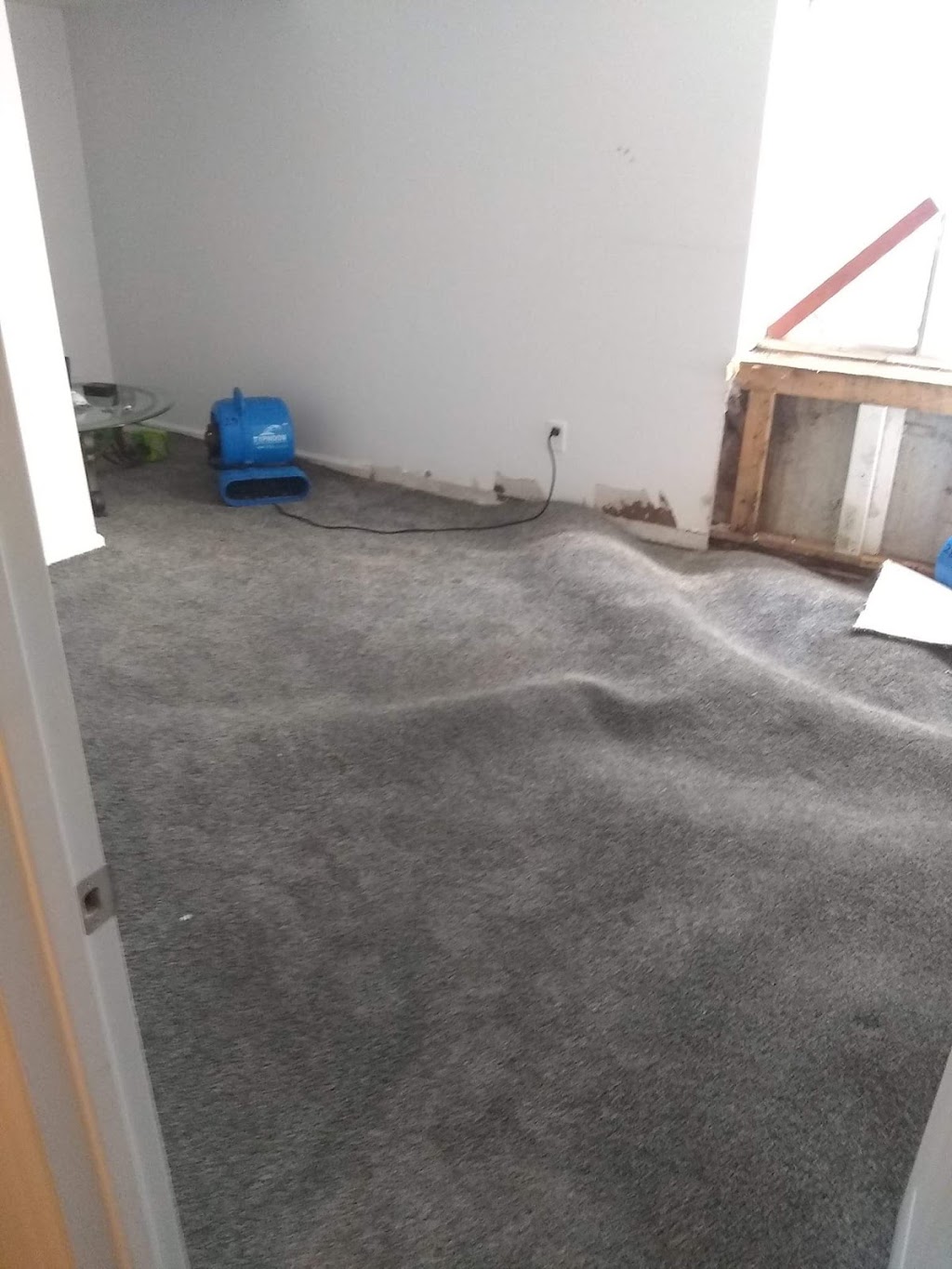 Vibe Carpet Care and Restoration | 1021 Manitou Ave unit b, Manitou Springs, CO 80829, USA | Phone: (719) 888-9068