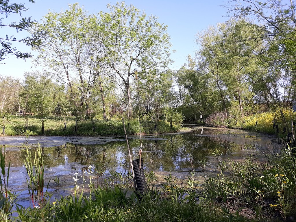 Sankofa Wetland Park and Nature Trail | 6401 Florida Ave, New Orleans, LA 70117, USA | Phone: (504) 872-9214