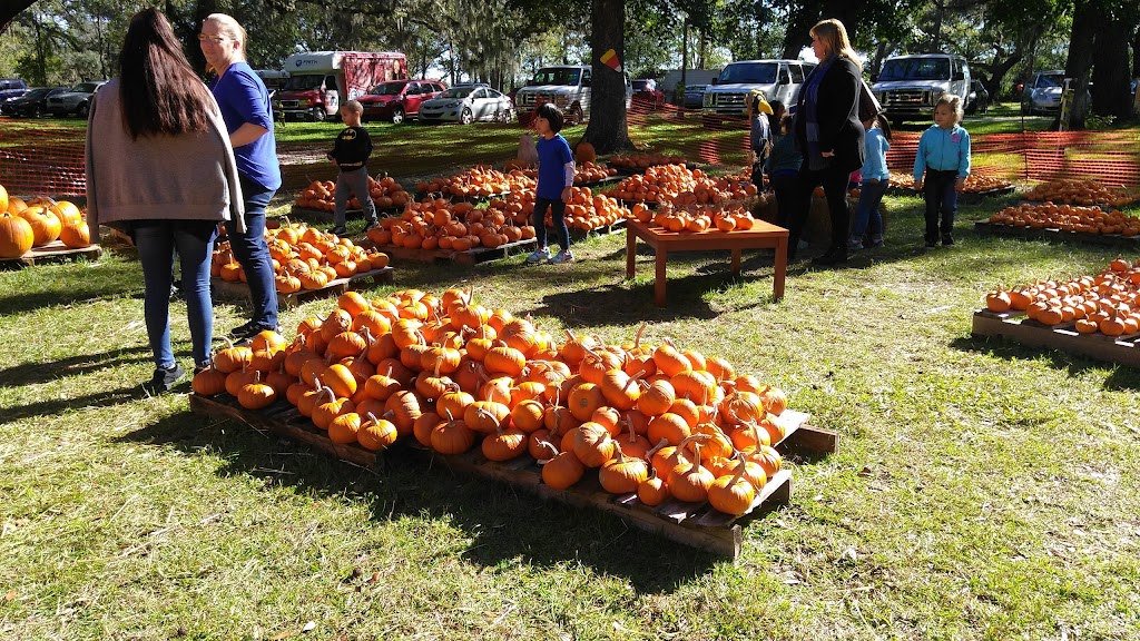 Shepherd of the woods Lutheran Church and School | 7860 Southside Blvd, Jacksonville, FL 32256, USA | Phone: (904) 641-8385