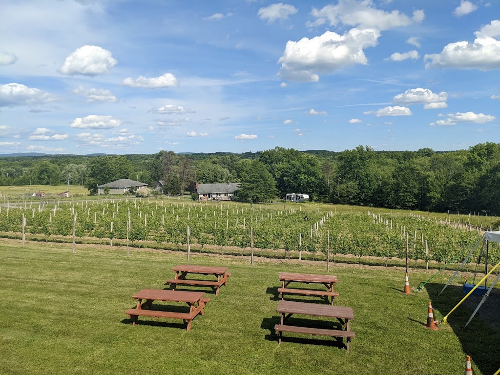 Robibero Winery | 714 Albany Post Rd, New Paltz, NY 12561, USA | Phone: (845) 255-9463