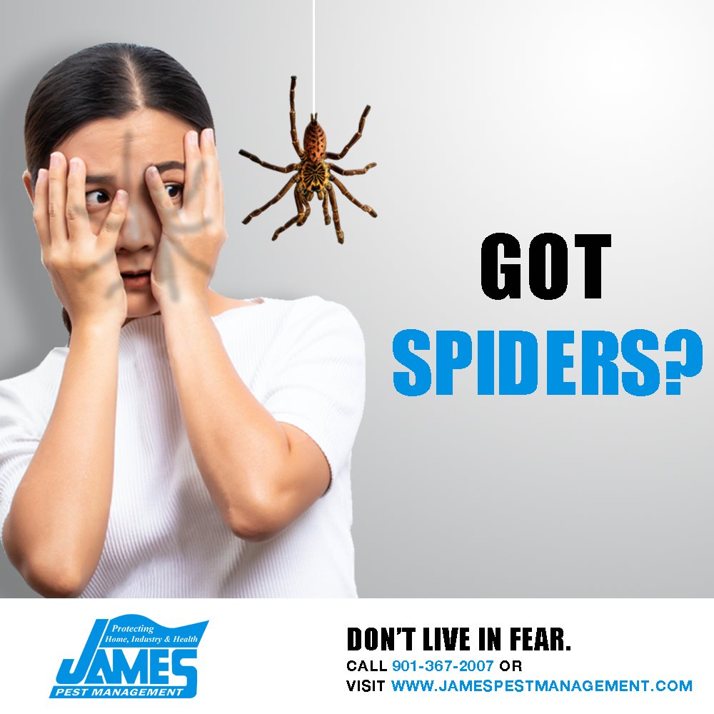 James Pest Control Services | 4246 Outland Rd, Memphis, TN 38118, USA | Phone: (901) 367-2007