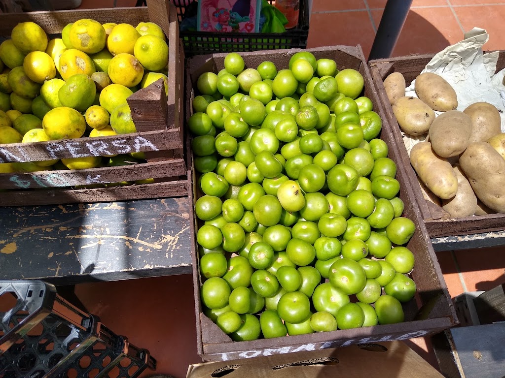 "El Jardín del Jibarito" | Zumpango 4616, El Jibarito, 22606 Tijuana, B.C., Mexico | Phone: 663 127 1630