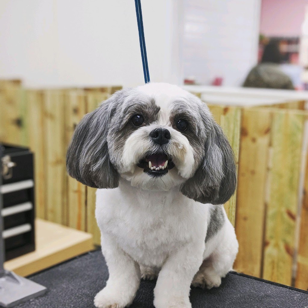 Woof Gang Bakery & Grooming Apex | 774 W Williams St, Apex, NC 27502, USA | Phone: (919) 367-1333