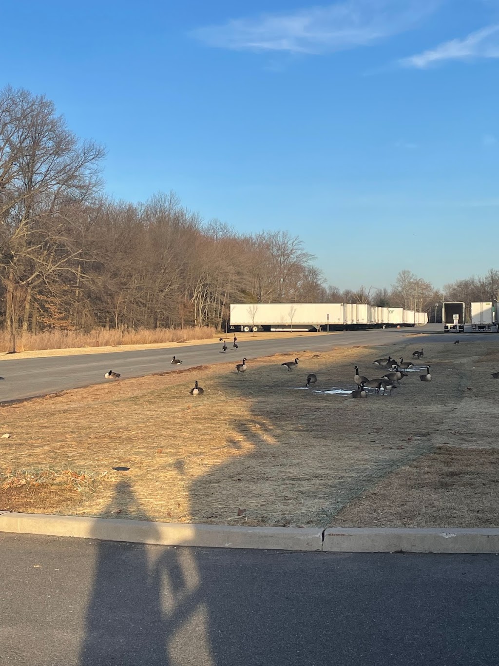 Cascades container | 1 Turner Pl, Piscataway, NJ 08854, USA | Phone: (732) 733-6195