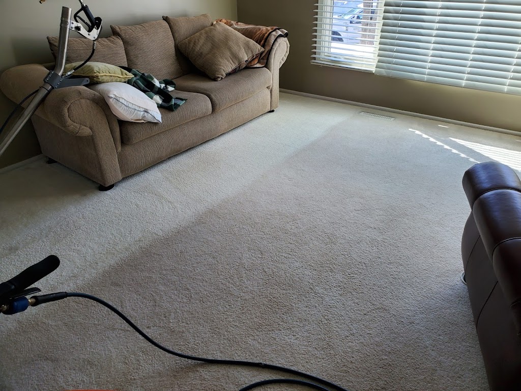 Winter Carpet Cleaning | 9466 Griggs Ave, Circle Pines, MN 55014, USA | Phone: (651) 486-8933