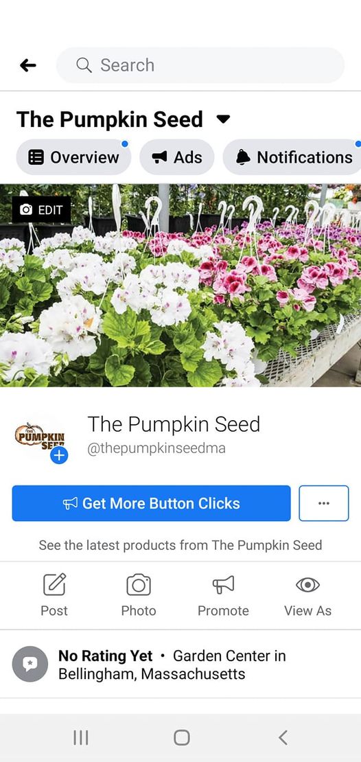 Pumpkin Seed | 599 S Main St, Bellingham, MA 02019, USA | Phone: (508) 883-8008