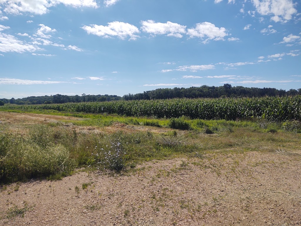 Vienna Waterfowl Protection Area | Co Rd V, Waunakee, WI 53597, USA | Phone: (608) 742-7100