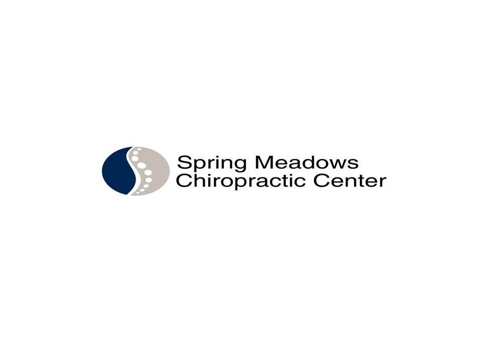 Spring Meadows Chiropractic | 6823 Spring Valley Dr, Holland, OH 43528 | Phone: (419) 866-6325