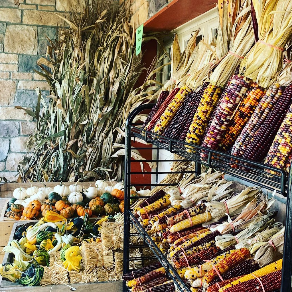 Dutch Country Farm Market | 3190 Schuylkill Rd, Spring City, PA 19475, USA | Phone: (610) 495-4555