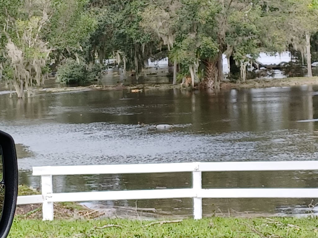 Little Manatee Springs | 4337 Hamlin Way, Wimauma, FL 33598, USA | Phone: (813) 634-2395