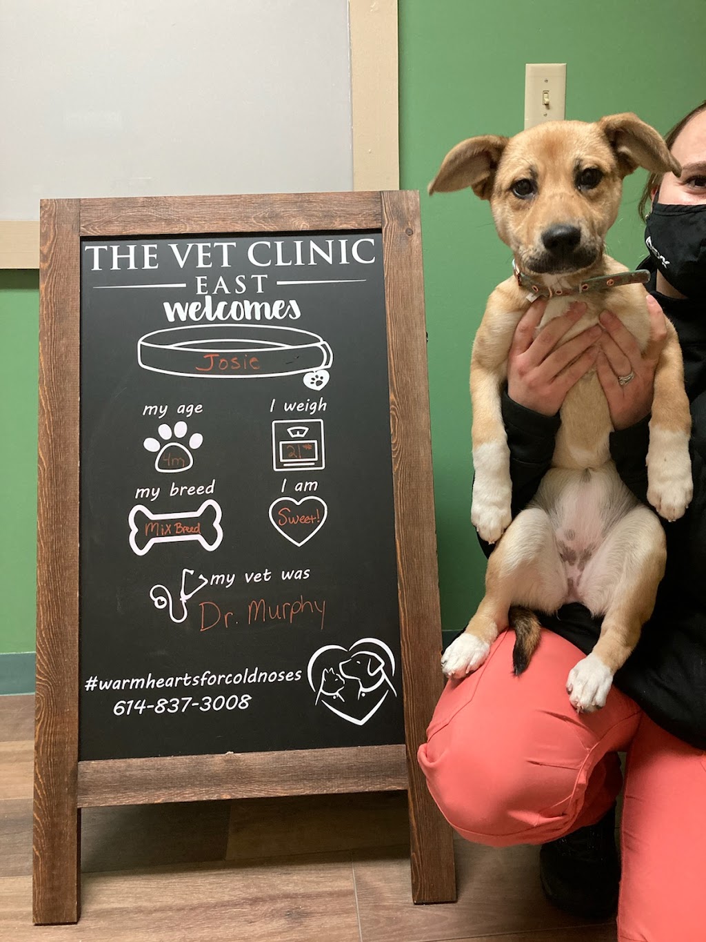 The Vet Clinic East | 5101 Chatterton Rd, Columbus, OH 43232, USA | Phone: (614) 837-3008