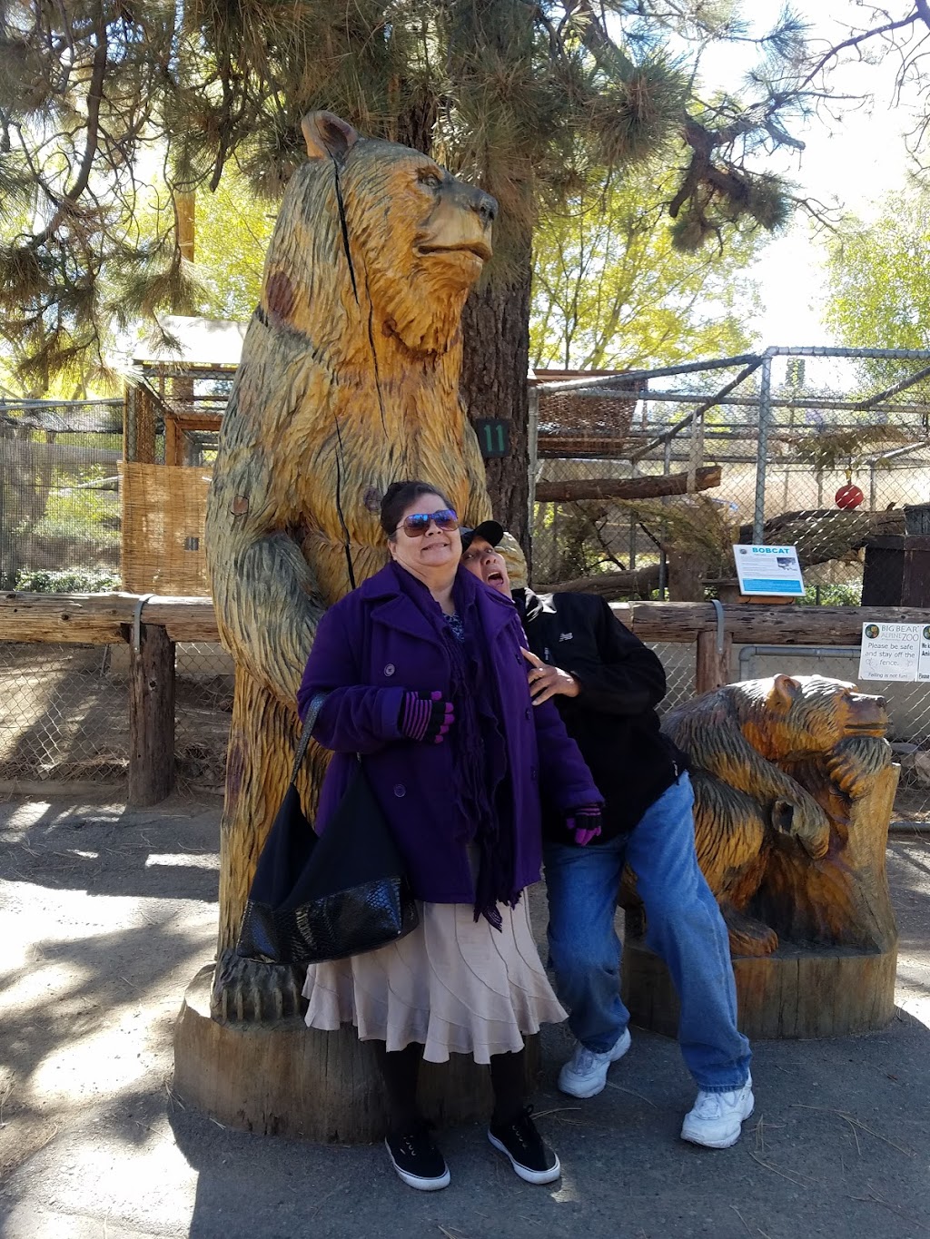 Goldmine Dr & Lassen Rd - Alpine Zoo | Big Bear Lake, CA 92314, USA | Phone: (909) 878-5200