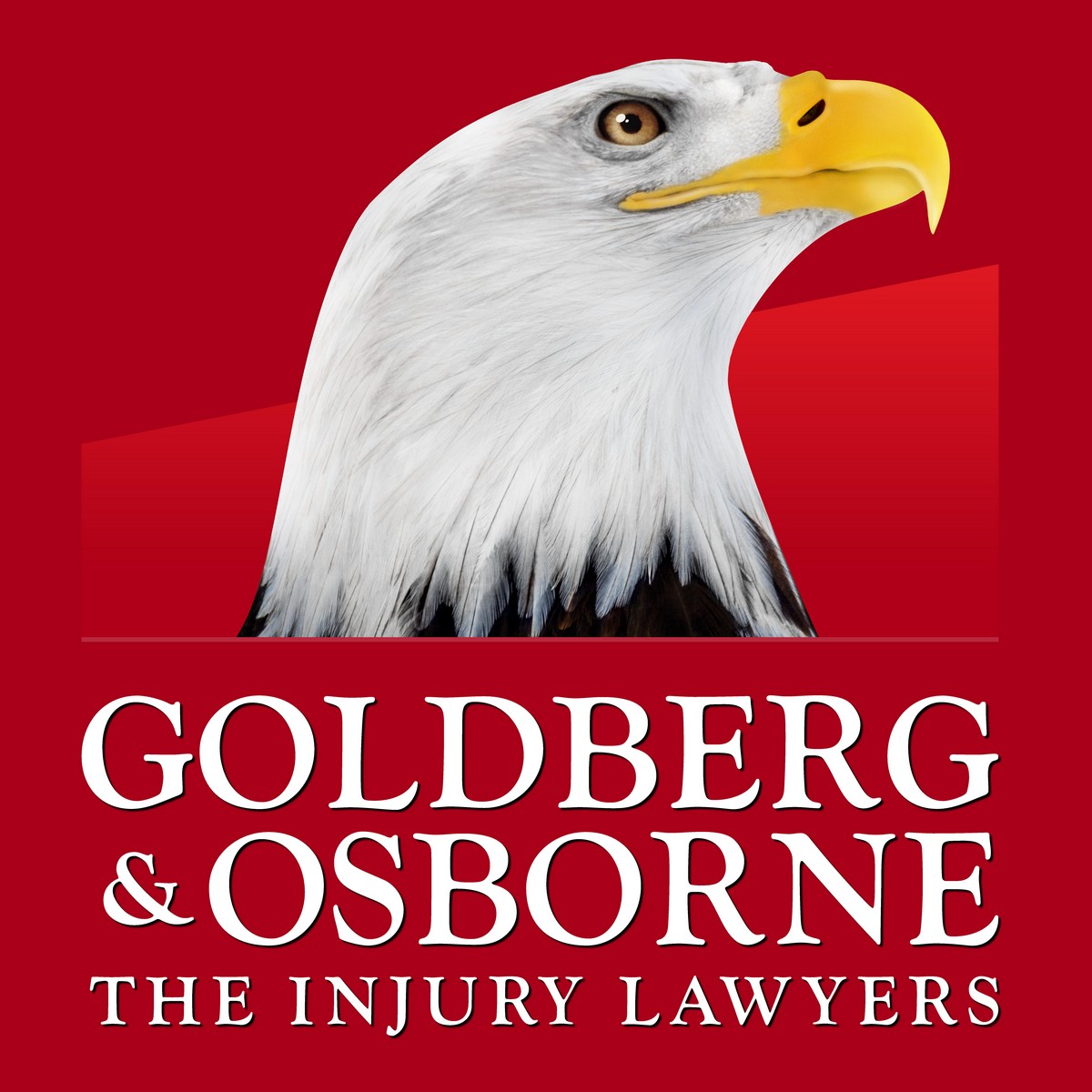 Goldberg & Osborne - Injury Lawyers Tucson | 698 E Wetmore Rd #200, Tucson, AZ 85705, United States | Phone: (520) 620-3975