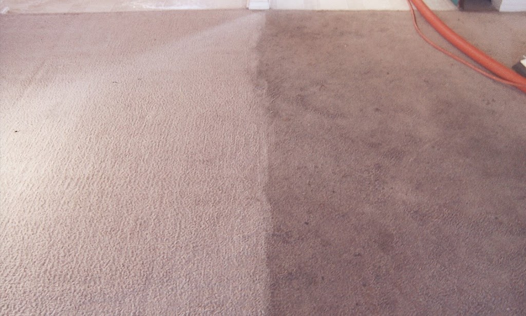 Pro-Clean Carpet & Upholstery Cleaning | 210 Cedar St #98, Pataskala, OH 43062, USA | Phone: (614) 794-5448