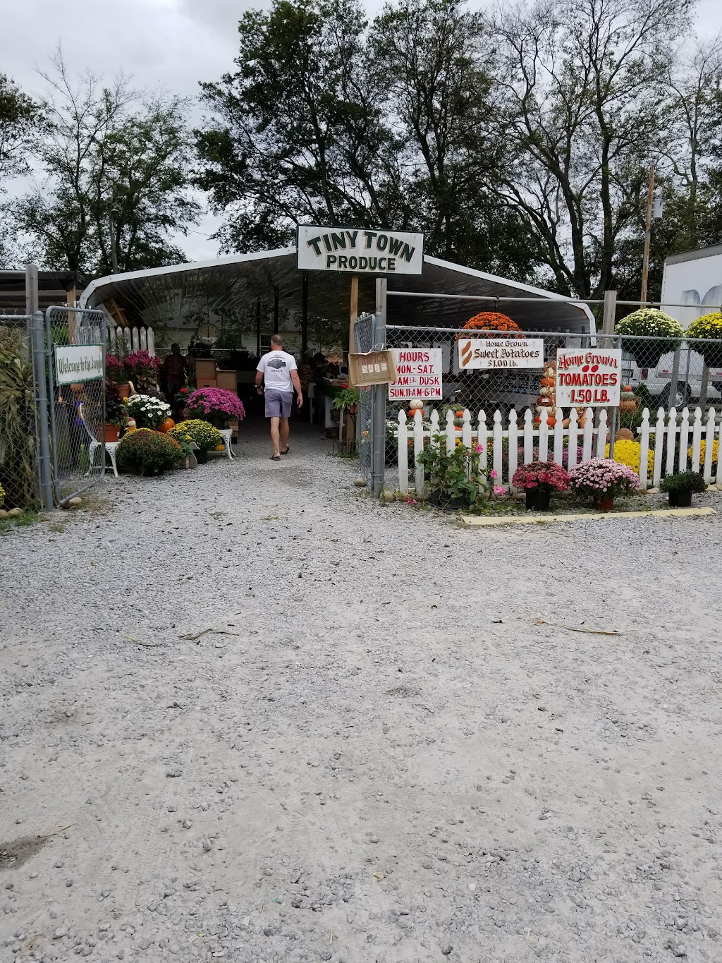 Tiny Town Produce | 10155 Dixie Beeline Hwy, Guthrie, KY 42234, USA | Phone: (270) 483-6009