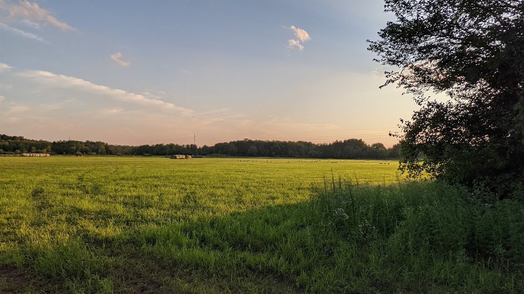 Pine Island State Wildlife Area | 609 W Cook St, Portage, WI 53901, USA | Phone: (888) 936-7463